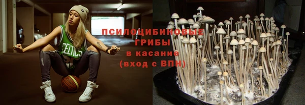 наркотики Карпинск