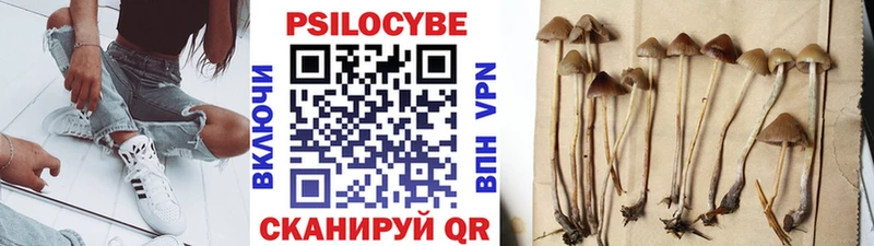 Галлюциногенные грибы Magic Shrooms Починок