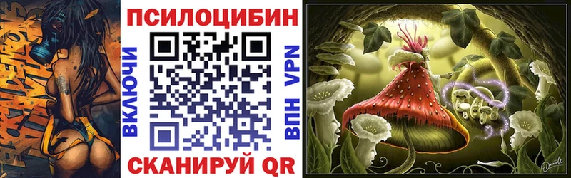 Купить закладки  Починок  Галлюциногенные грибы Psilocybine cubensis 